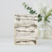 Bの動きを示す腕の勉強 ポストカード (スタンド正面)