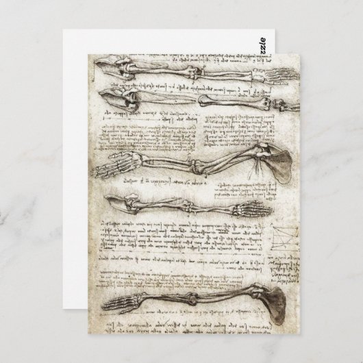 Bの動きを示す腕の勉強 ポストカード (正面/裏面)