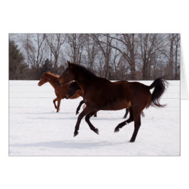 Bの禅の雪の操業