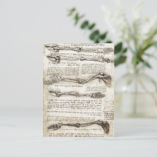 Bの腕の動きを示す研究 ポストカード (スタンド正面)