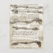 Bの腕の動きを示す研究 ポストカード (正面)