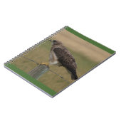 B10スワインソンズホーク ノートブック (左側)