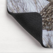 B11短い耳付つきのフクロウ マウスパッド (コーナー)