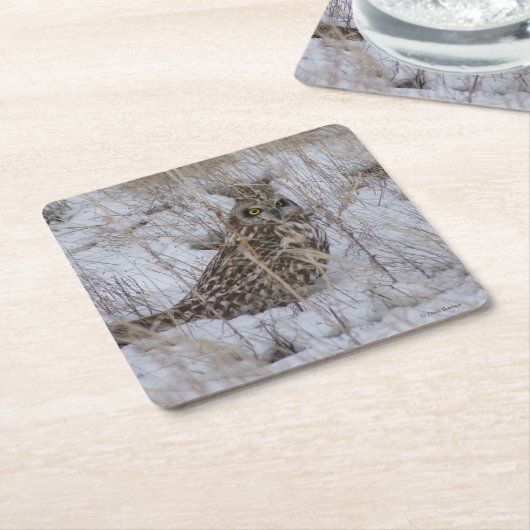 B11短耳フクロウ スクエアペーパーコースター (アングル)