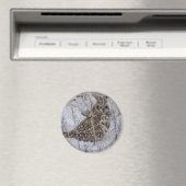 B11短耳フクロウ マグネット (インサイチュ (食洗機))