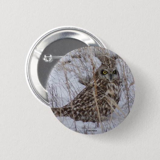 B11短耳フクロウ 缶バッジ (正面&裏面)