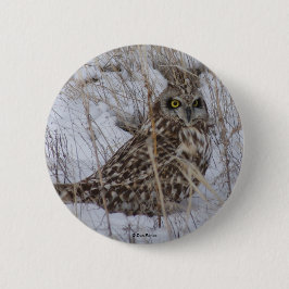 B11短耳フクロウ 缶バッジ