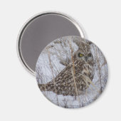 B11 ヨタカオオバズク マグネット (正面/裏面)