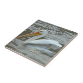 B14 ムーディ川の白ペリカン タイル (側面)