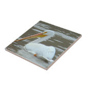 B15ホワイトペリカンオンドロドロ水 タイル (側面)