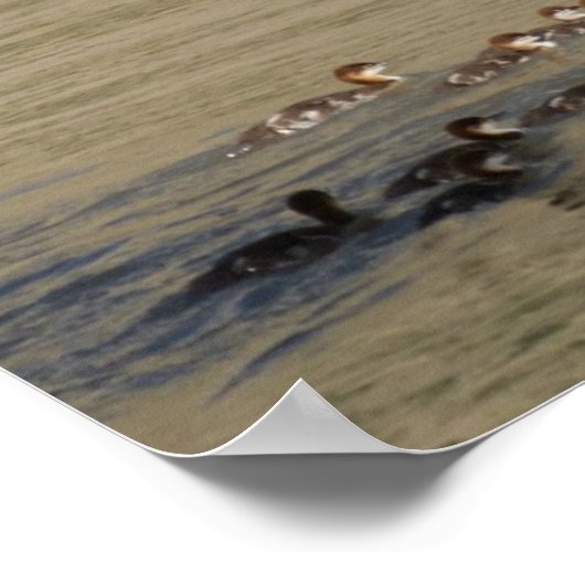 B17メルガンサーヘン&アクリングス ポスター (角)