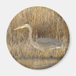 B19ブルーヘロン少年 マグネット