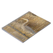 B19 若いコウテンチョウ ノートブック (左側)