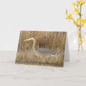 B19 若いサイコロハクセキレイ カード (黄色い花)