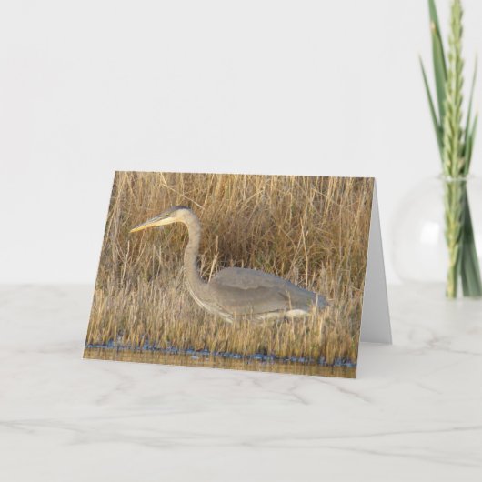 B19 若いサイコロハクセキレイ カード (正面)