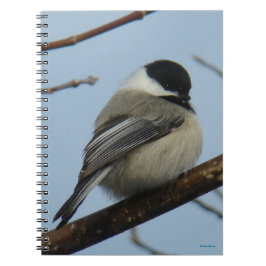 B21ブラックキャッピング《鳥》アメリカゴガラ ノートブック