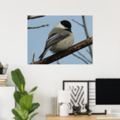 B21ブラックキャッピング《鳥》アメリカゴガラ ポスター (ホームオフィス)