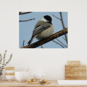 B21ブラックキャッピング《鳥》アメリカゴガラ ポスター (キッチン)