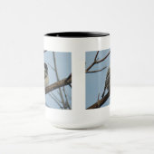 B21ブラックキャッピング《鳥》アメリカゴガラ マグカップ (中央)