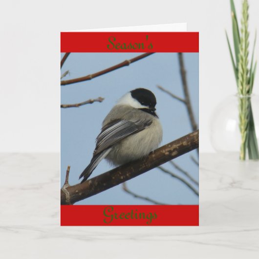 B21ブラックキャップ《鳥》アメリカゴガラ シーズンカード (正面)