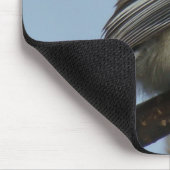 B21黒いおおわれた《鳥》アメリカゴガラ マウスパッド (コーナー)