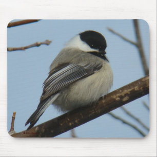 B21黒いおおわれた《鳥》アメリカゴガラ マウスパッド