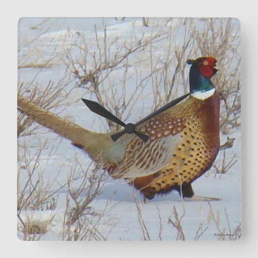 B22リングや輪首キジの雪 スクエア壁時計 (正面)