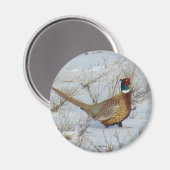 B22 コジュケイ マグネット (正面/裏面)