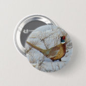 B22 コジュケイ 缶バッジ (正面&裏面)