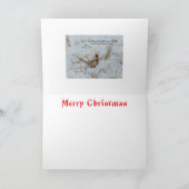 B22 雪の中のキジのクリスマスカード シーズンカード (内部)