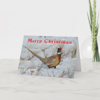 B22 Ring-Necked Pheasant in Snow Christmas Card シーズンカード