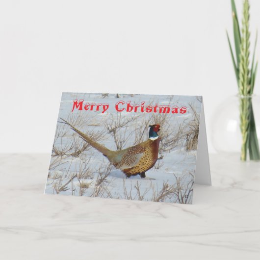 B22 Ring-Necked Pheasant in Snow Christmas Card シーズンカード (正面)