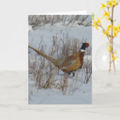 B23リングや輪首のキジ カード (黄色い花)