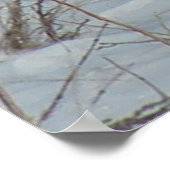 B23リングや輪首キジ ポスター (角)