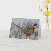 B23リングネックのキジ カード (黄色い花)