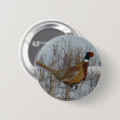 B23リングネックのキジ。 缶バッジ (正面&裏面)