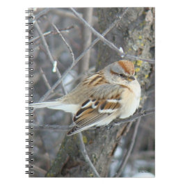B24共通スパロー ノートブック