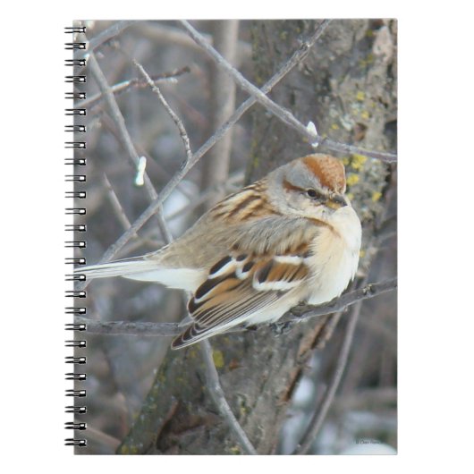 B24共通スパロー ノートブック (正面)
