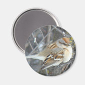 B24共通スパロー マグネット (正面/裏面)