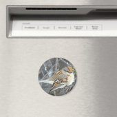 B24共通スパロー マグネット (インサイチュ (食洗機))