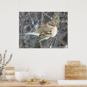 B24 一般的なスズメ ポスター (キッチン)