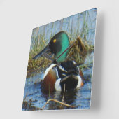 B25ノーザンショベラードレイク スクエア壁時計 (傾斜)