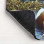 B25ノーザンショベラードレイク マウスパッド (コーナー)