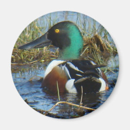 B25ノーザンショベル マグネット