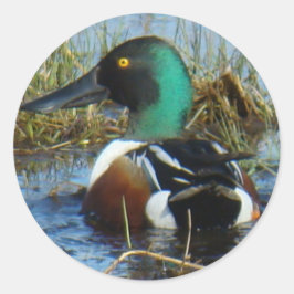 B25ノーザンショベル ラウンドシール