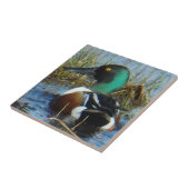 B25ハシビロガモドレーク タイル (側面)