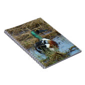 B26ノーザンショベラードレイク ノートブック (右側)