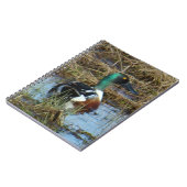 B26ノーザンショベラードレイク ノートブック (左側)