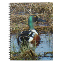 B26ノーザンショベラードレイク ノートブック