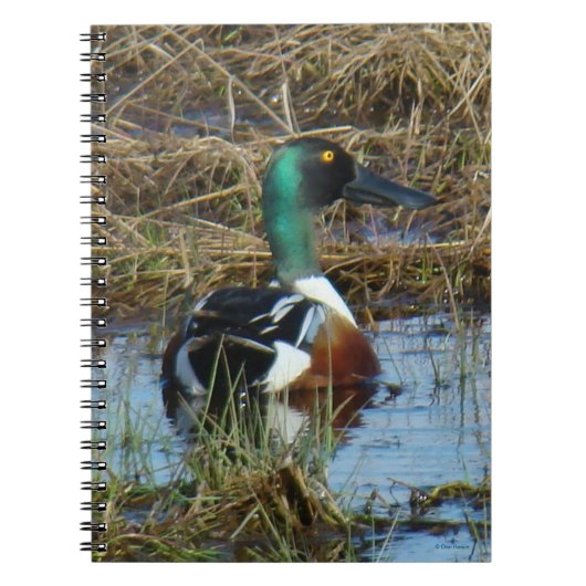 B26ノーザンショベラードレイク ノートブック (正面)